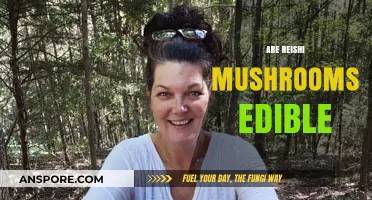 Are Reishi Mushrooms Edible? Exploring Their Safety and Culinary Uses