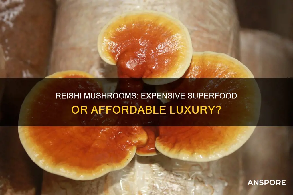 are reishi mushrooms expensive