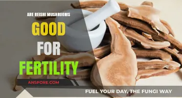 Reishi Mushrooms and Fertility: Unlocking Potential Benefits for Reproductive Health