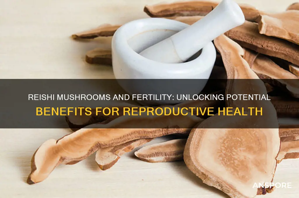 are reishi mushrooms good for fertility