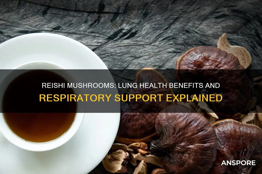 are reishi mushrooms good for the lungs