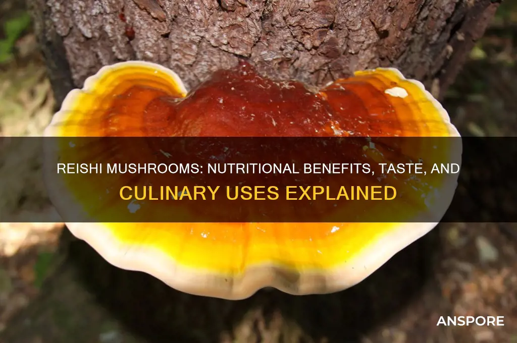 are reishi mushrooms good to eat