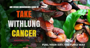 Reishi Mushrooms and Lung Cancer: Potential Benefits and Considerations