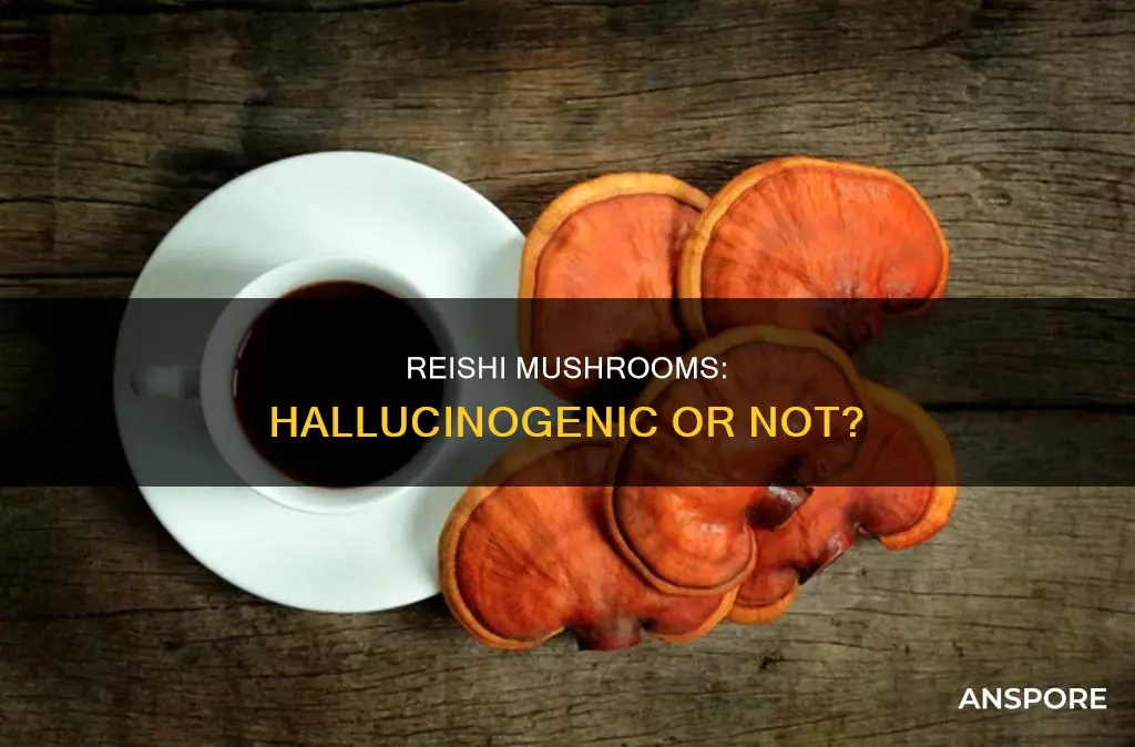 are reishi mushrooms hallucinogenic