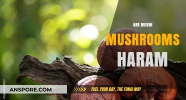 Reishi Mushrooms: Halal or Haram?