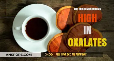Reishi Mushrooms: High in Oxalates or Not?