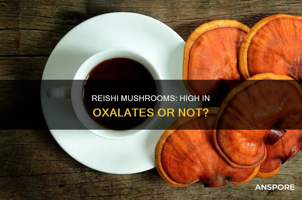 are reishi mushrooms high in oxalates