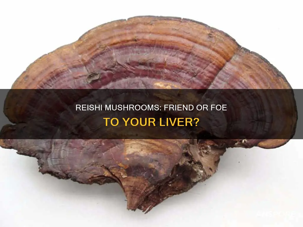 are reishi mushrooms liver friendly
