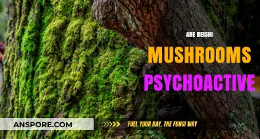 Reishi Mushrooms: A Psychoactive Superfood?