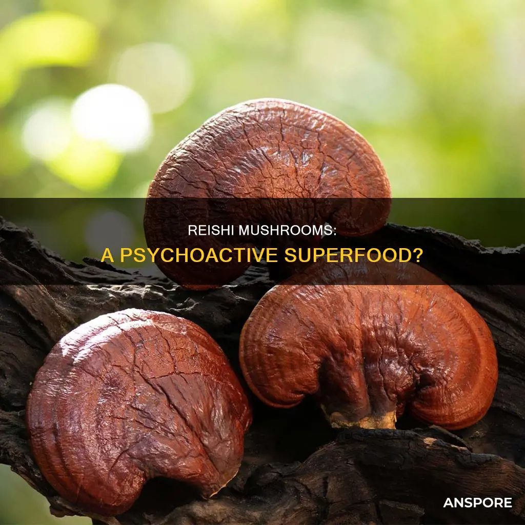 are reishi mushrooms psychoactive
