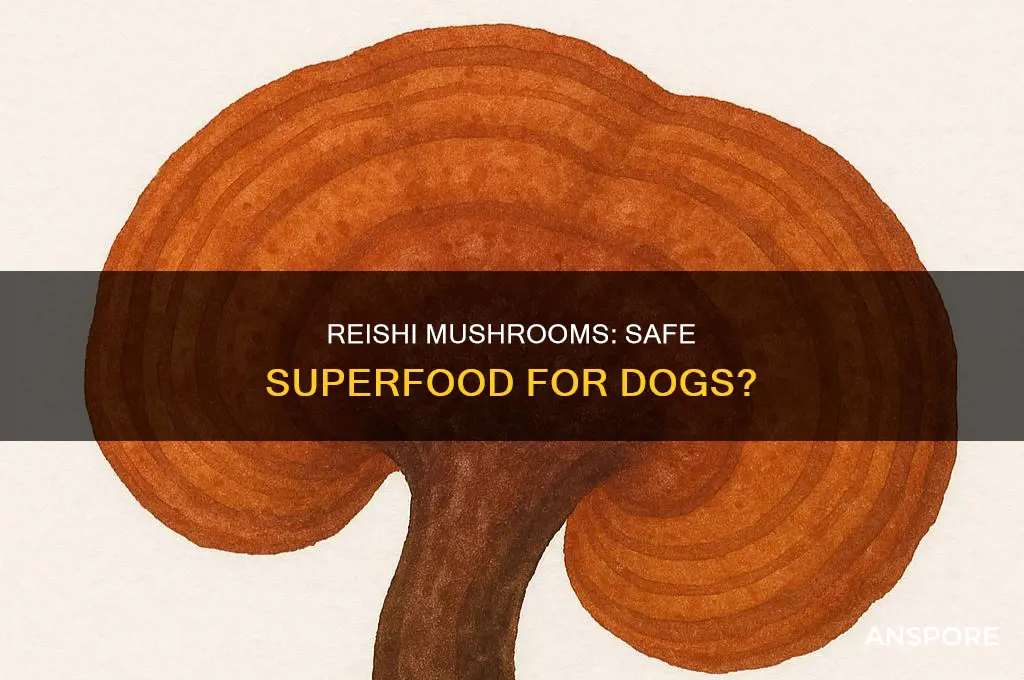 are reishi mushrooms safe for dogs