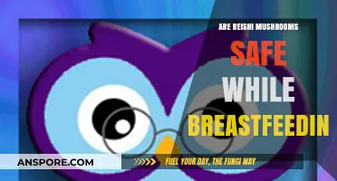 Reishi Mushrooms: Safe for Breastfeeding Moms?