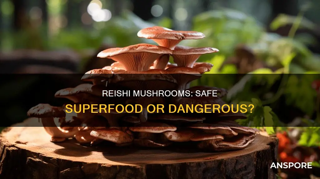 are reishi mushrooms safe