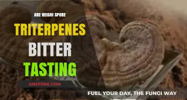 Reishi Spore Triterpenes: Unveiling Their Bitter Taste and Benefits