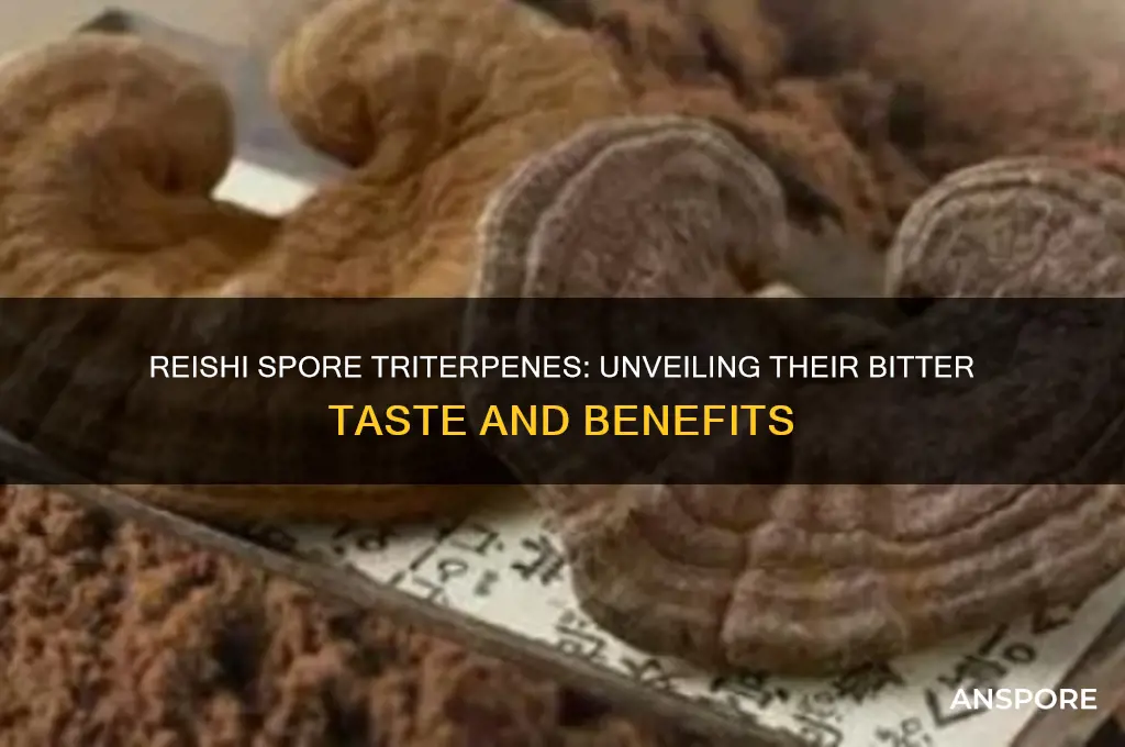 are reishi spore triterpenes bitter tasting