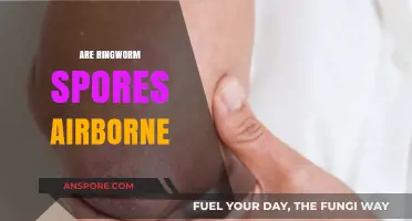 Are Ringworm Spores Airborne? Uncovering the Truth About Transmission