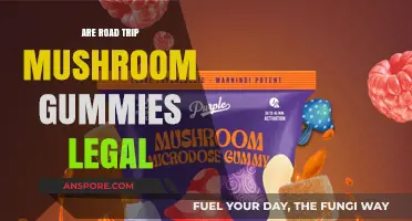 Are Road Trip Mushroom Gummies Legal? What You Need to Know
