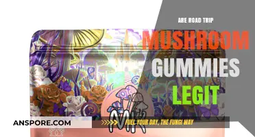 Mushroom Gummies: Road Trip's Safe Companion?