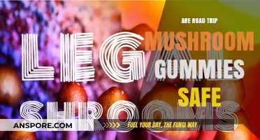 Are Road Trip Mushroom Gummies Safe? A Traveler's Guide