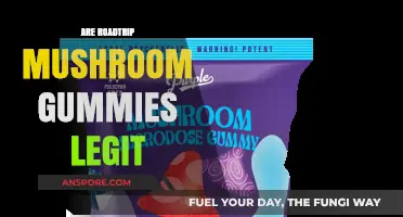 Mushroom Gummies: Safe Road Trip Fuel?
