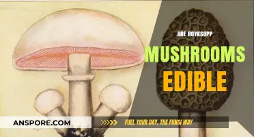 Can You Eat Royksopp Mushrooms? A Guide to Their Edibility