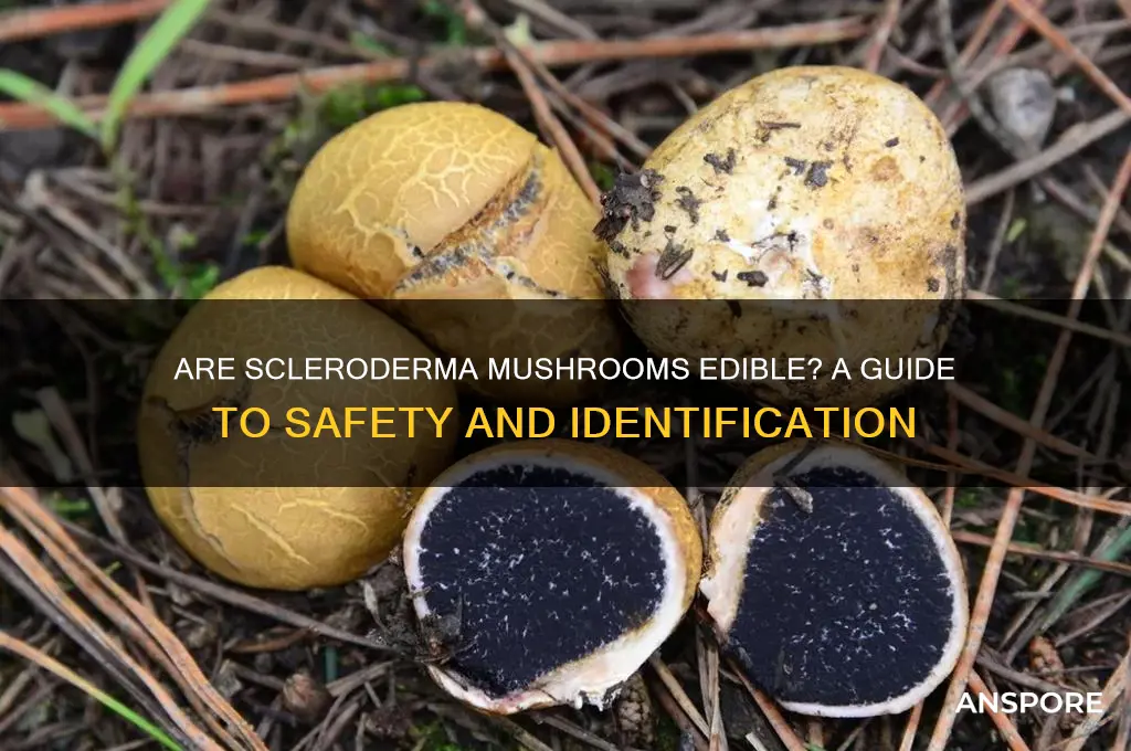 are scleroderma mushroom edible