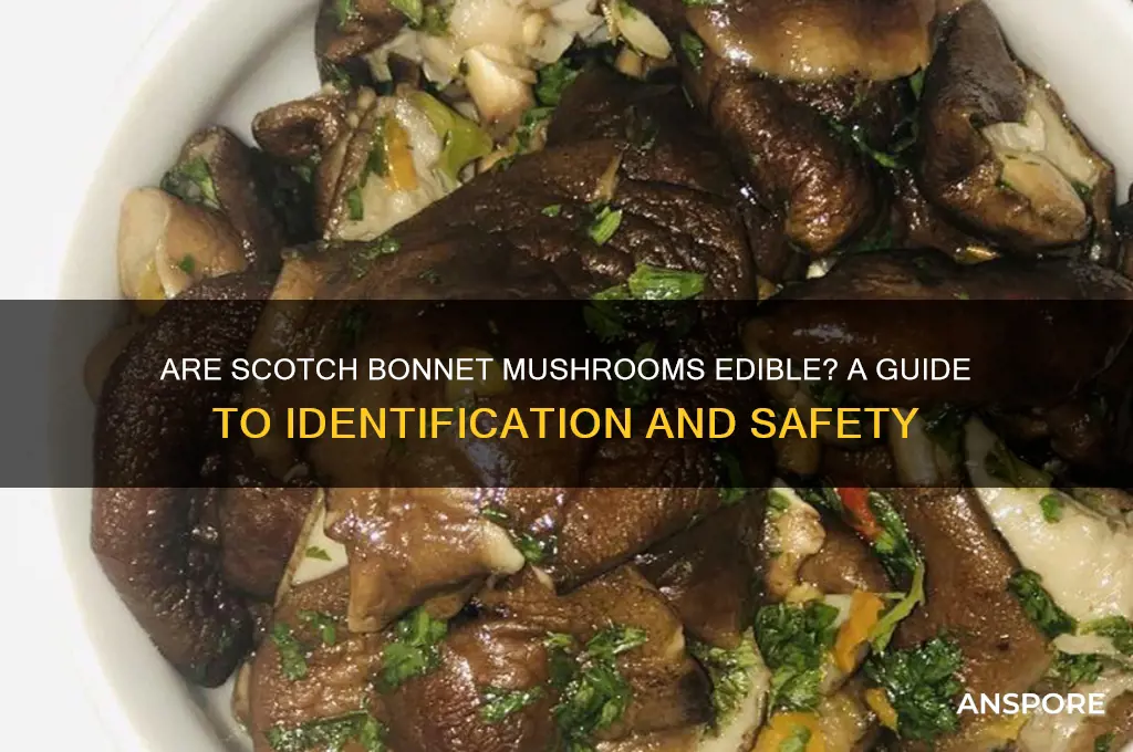 are scotch bonnet mushrooms edible