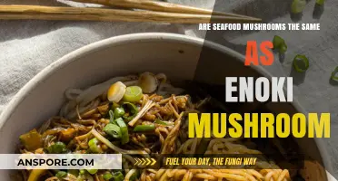 Seafood Mushrooms: Enoki's Twin or Distant Cousin?