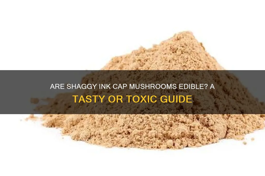 are shaggy ink cap mushrooms edible