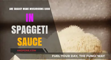 Shaggy Mane Mushrooms: A Tasty Addition to Spaghetti Sauce?