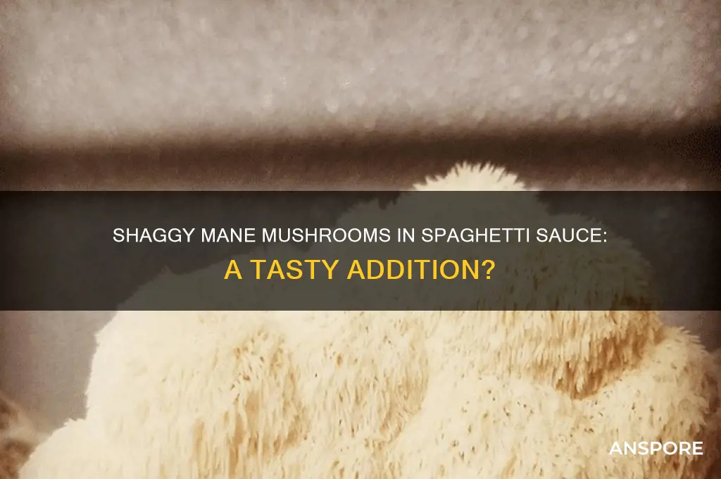 are shaggy mane mushrooms good in spaghetti sauce