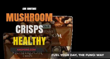 Shiitake Mushroom Crisps: Healthy Snack or Unhealthy Indulgence?