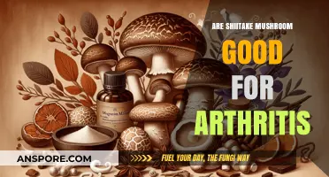 Shiitake Mushrooms: Natural Arthritis Relief or Just a Myth?