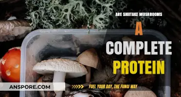 Shiitake Mushrooms: A Complete Protein Source?