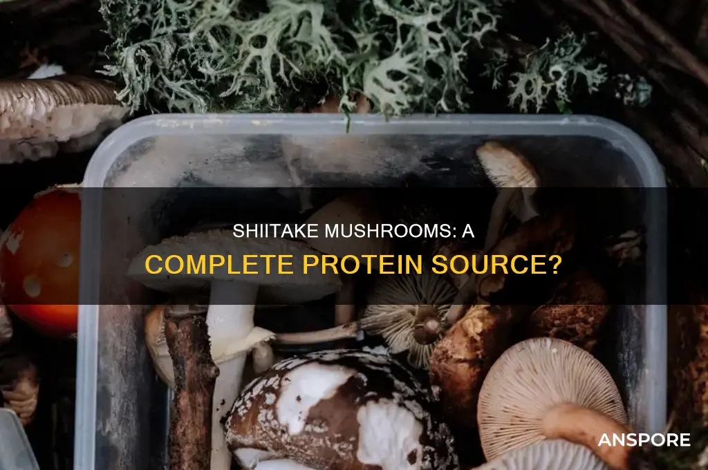are shiitake mushrooms a complete protein