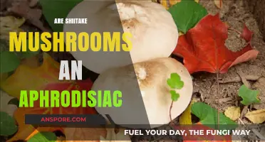 Shiitake Mushrooms: Nature's Aphrodisiac Superfood?