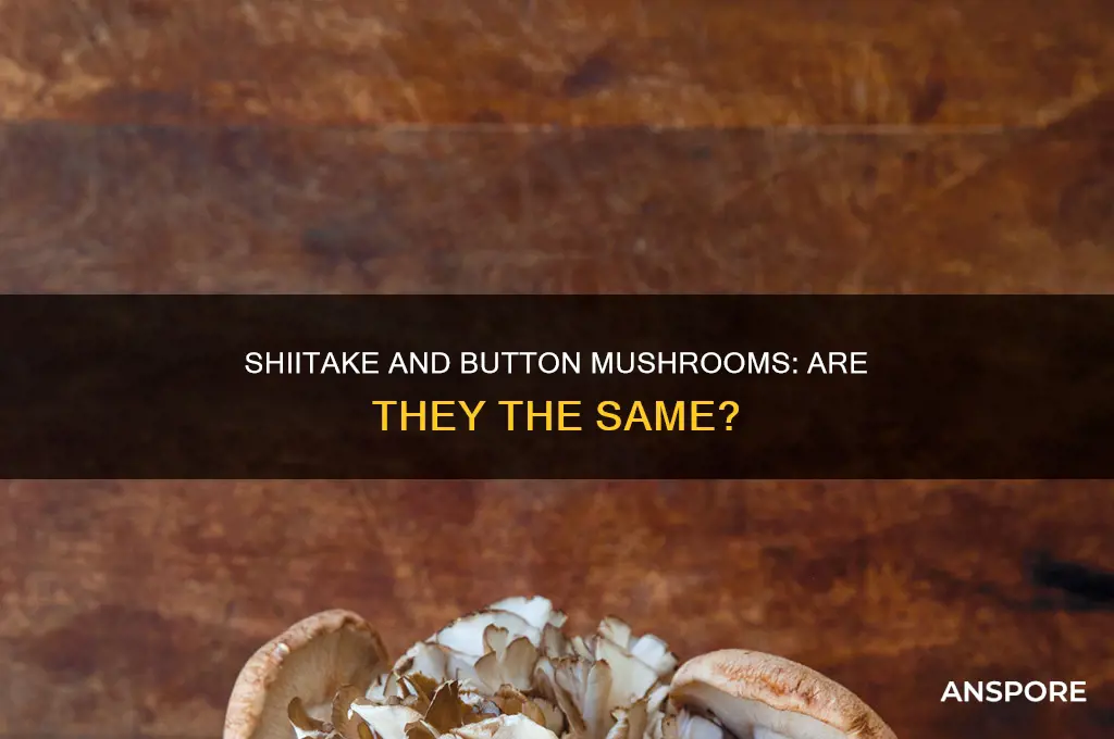 are shiitake mushrooms and button mushrooms are same