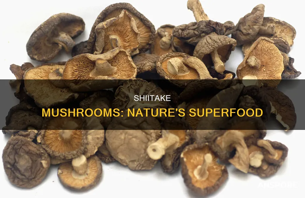 are shiitake mushrooms benefits
