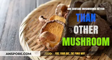 Shiitake Mushrooms: Superior Superfood or Just a Fad?