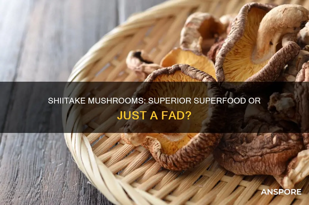are shiitake mushrooms better than other mushrooms