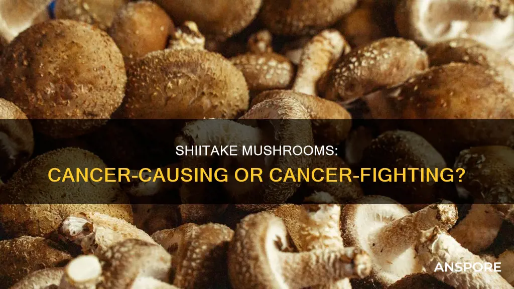 are shiitake mushrooms carcinogenic