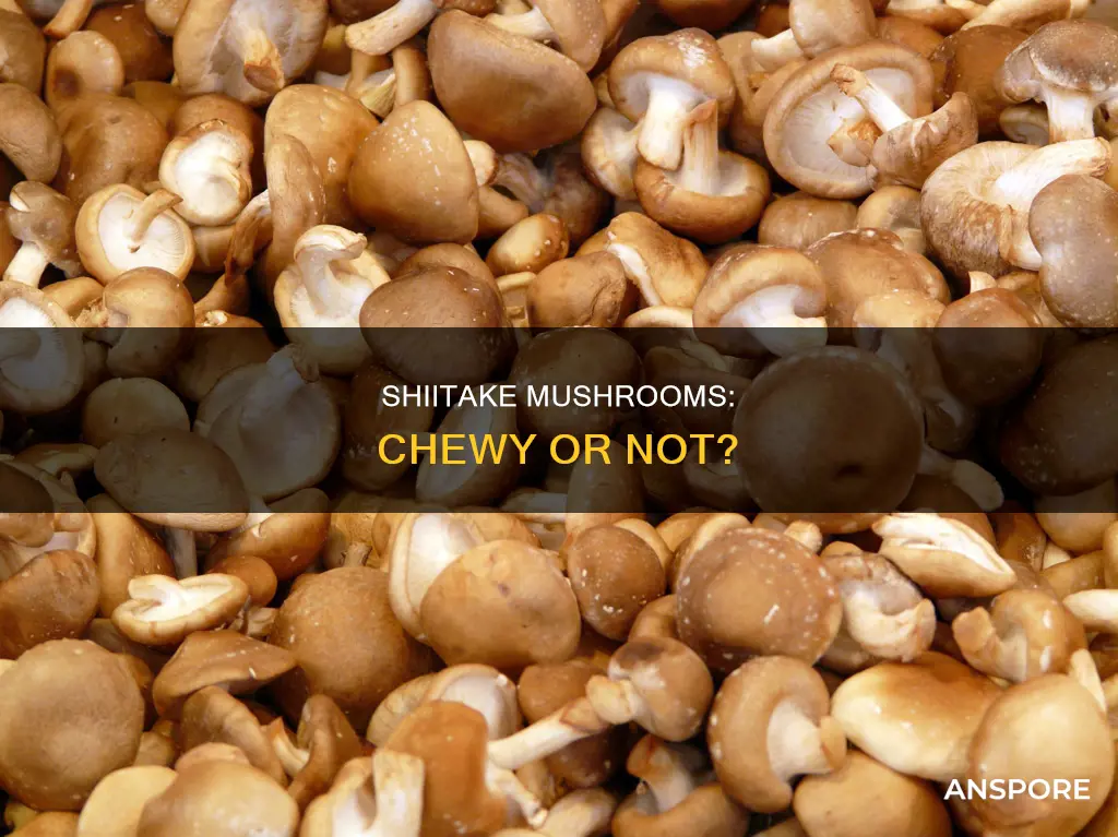 are shiitake mushrooms chewy