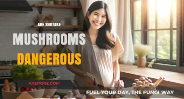 Shiitake Mushrooms: Are They Safe or Toxic?