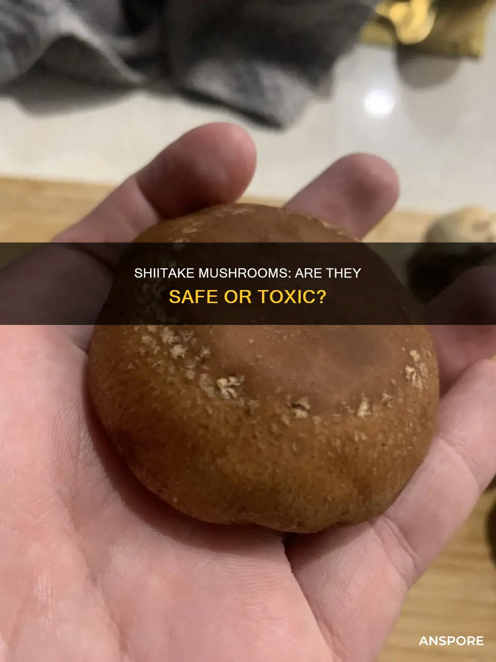 are shiitake mushrooms dangerous