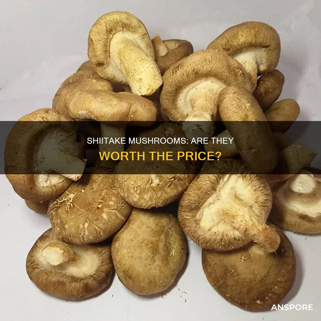 are shiitake mushrooms expensive