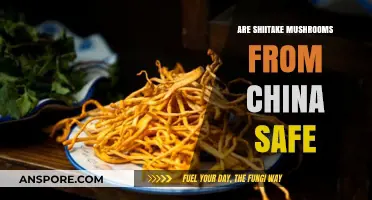 Shiitake Mushrooms from China: Are They Safe?