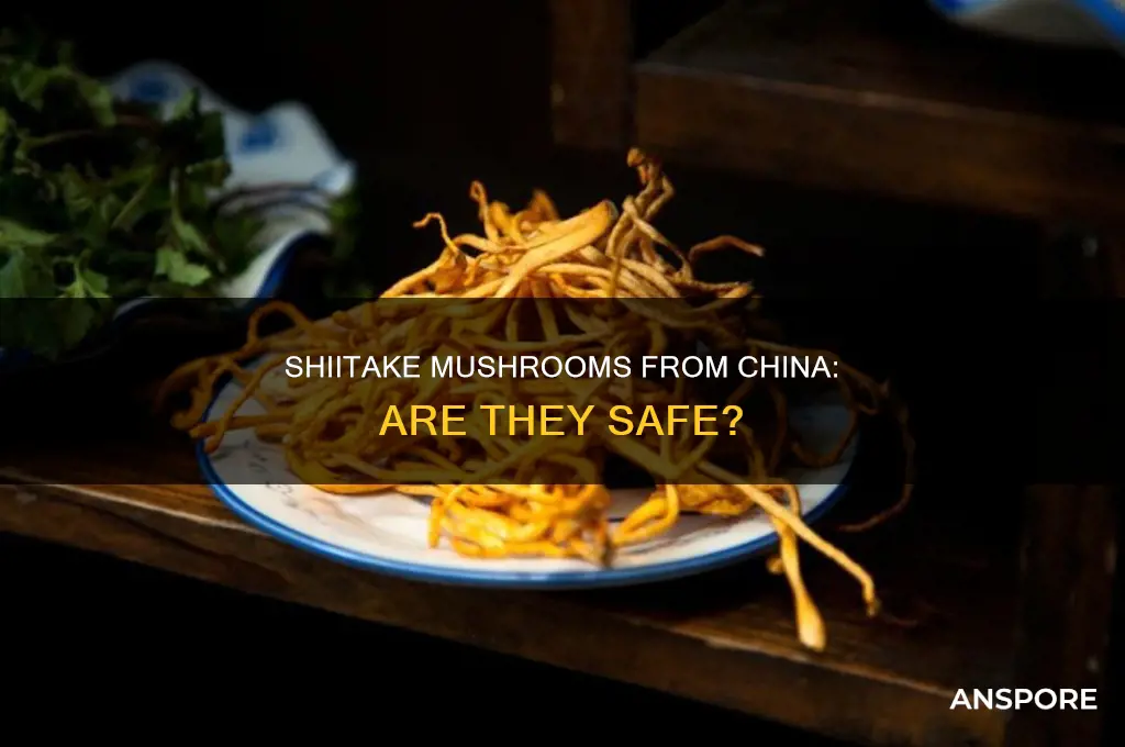 are shiitake mushrooms from china safe