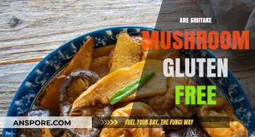 Shiitake Mushrooms: Gluten-Free Superfood?