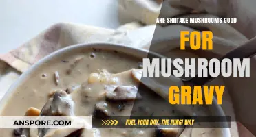 Shiitake Mushrooms: Perfect for Rich, Flavorful Mushroom Gravy?