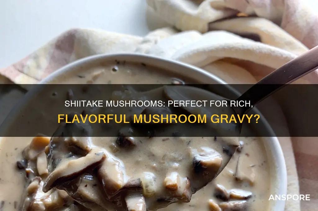 are shiitake mushrooms good for mushroom gravy